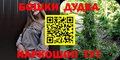 стаф Заволжье
