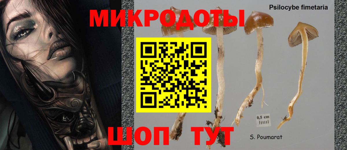 Псилоцибиновые грибы мухоморы Еманжелинск