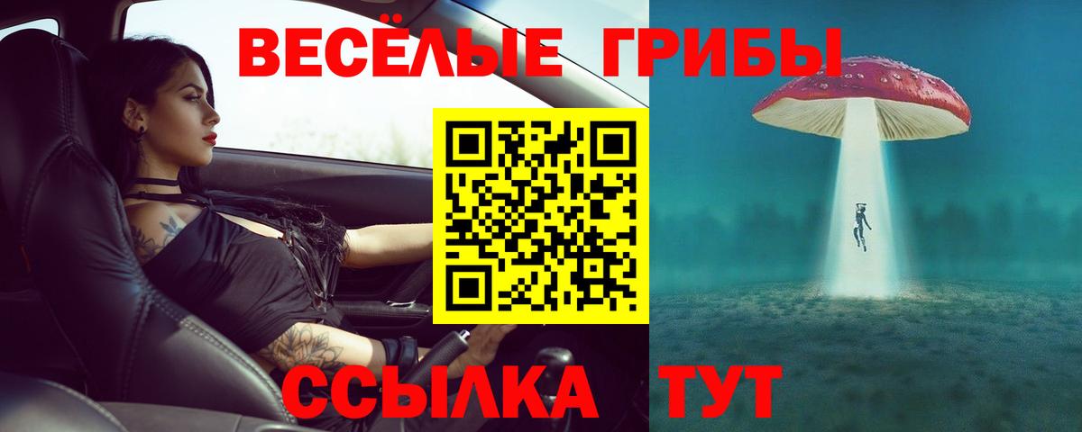 Еманжелинск  Галлюциногенные грибы Psilocybe  Вход с VPN 